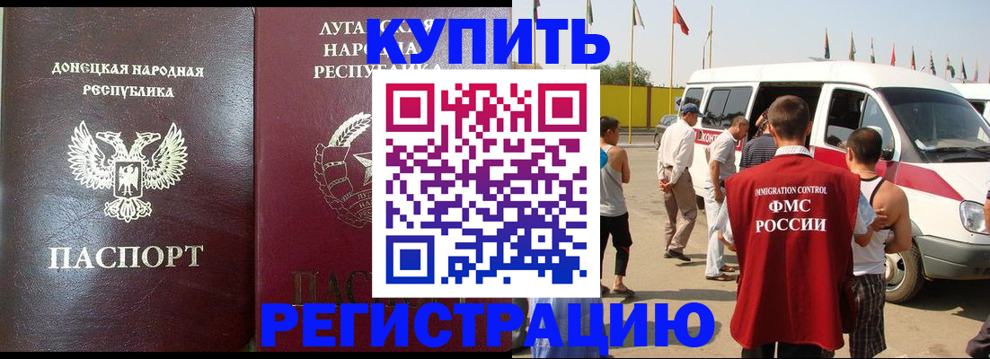 прописка 2025 в Коле